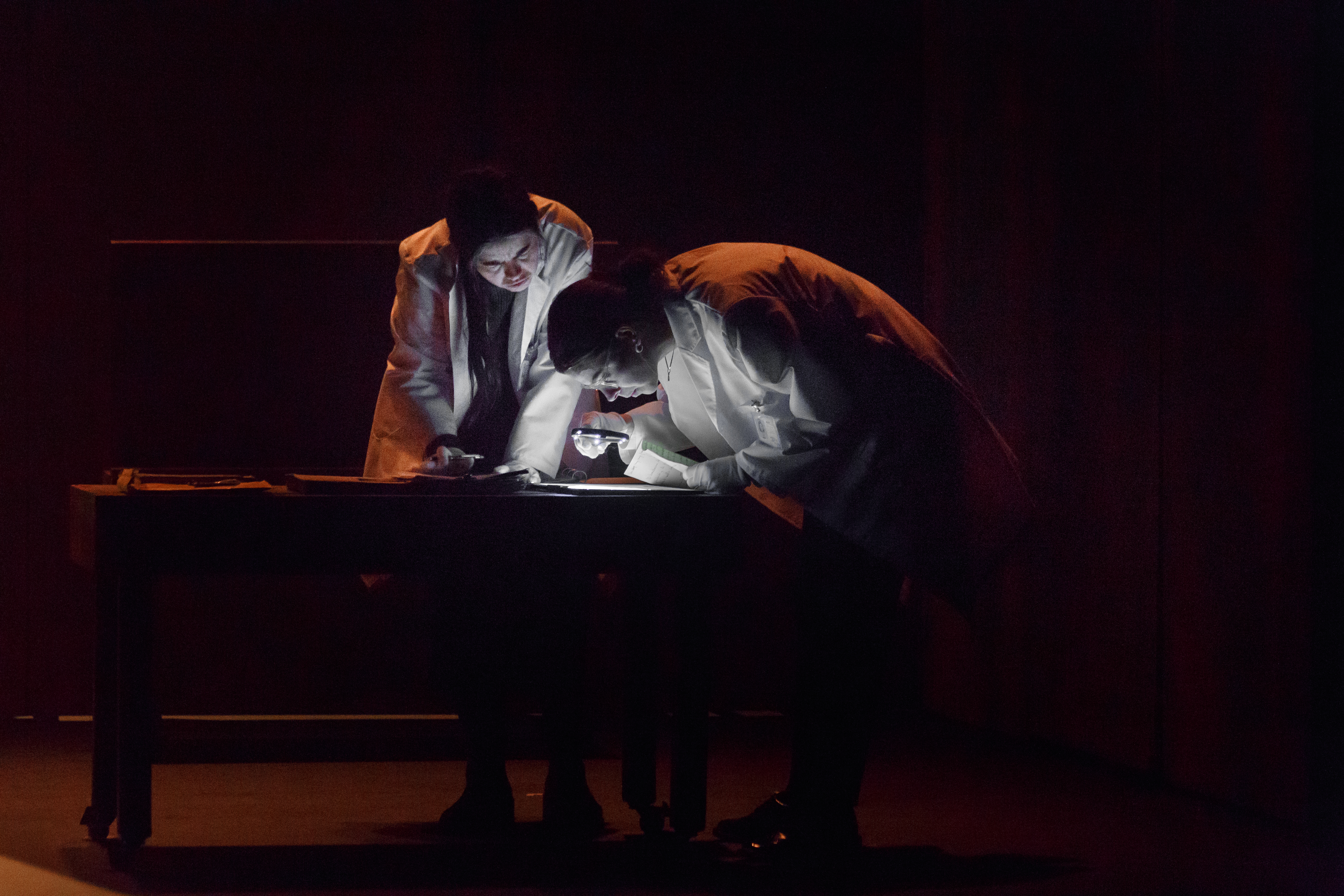 Blaubeeren_Clara Alvarado-1