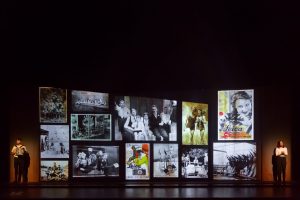 Blaubeeren_plano general-1