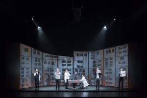 Blaubeeren_plano general-12