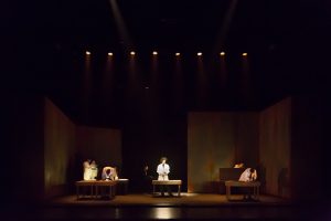 Blaubeeren_plano general-2