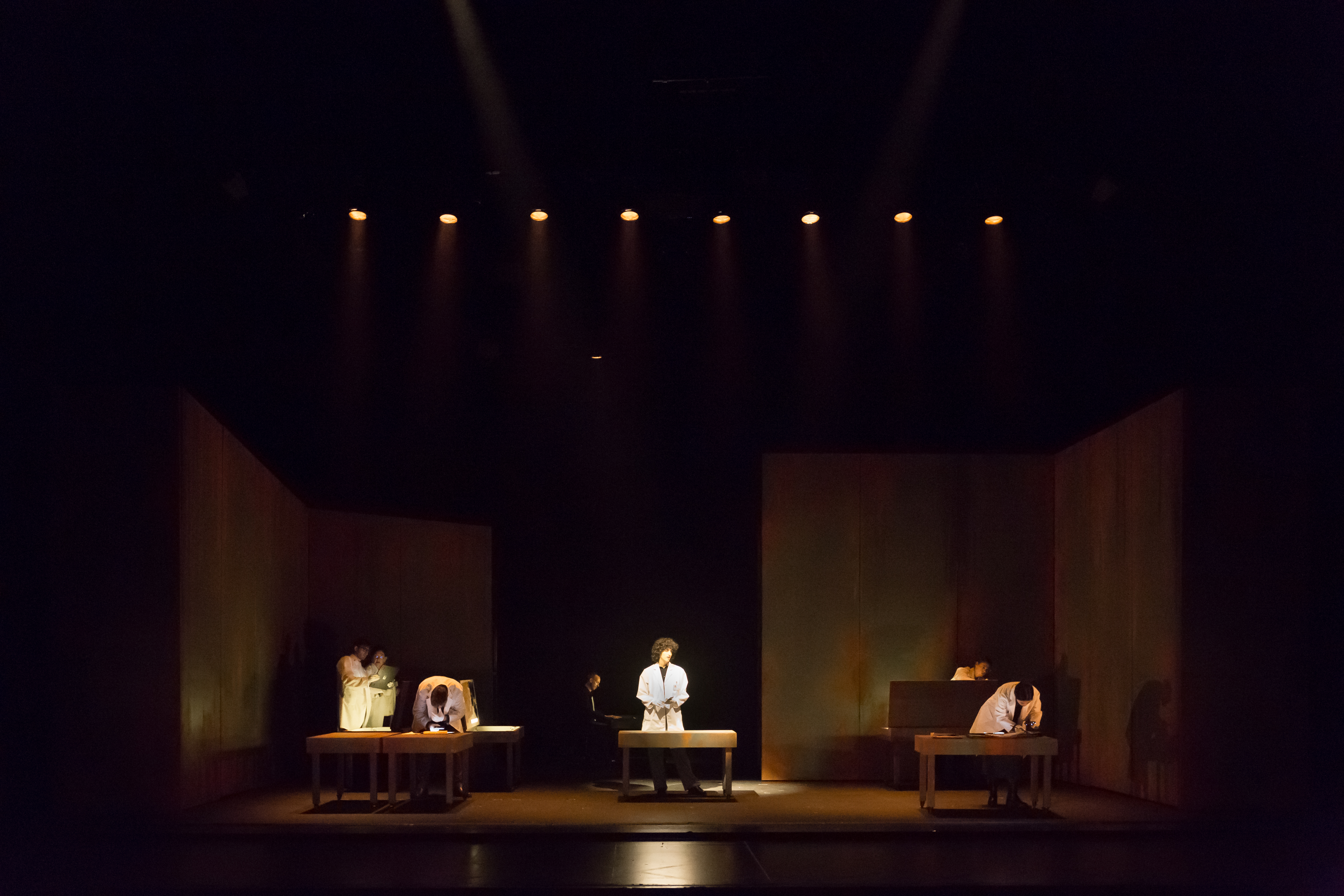 Blaubeeren_plano general-2