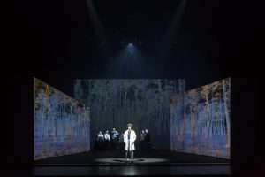 Blaubeeren_plano general-40