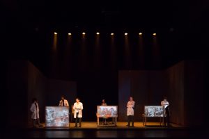 Blaubeeren_plano general-5